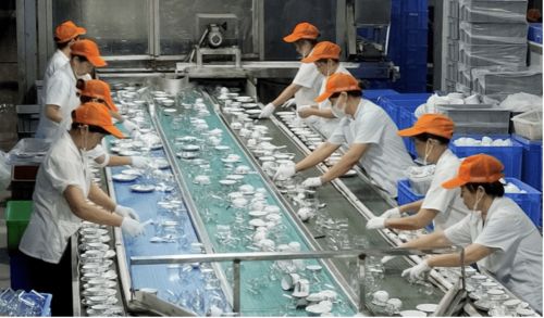 深圳餐具消毒服務(wù)機(jī)構(gòu)技術(shù)領(lǐng)先,有效推廣循環(huán)經(jīng)濟(jì)